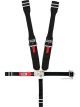 Crow Enterprizes 5-Way L&L W/Ratchet on left side lap belt. Rig