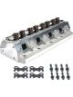 Dart Cylinder Head SHP Assembled 2.020in 1.60in Valve 175cc Intake 62cc
