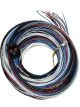 Fueltech Engine Control Harness A-Harness 10 ft FT450 / FT550 ECU