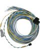 Fueltech Engine Control Harness B-Harness 10 ft FT550 ECU
