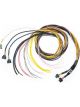 Fueltech Engine Control Harness C / D-Harness 10 ft FT700 ECU