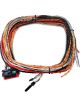 Fueltech Ignition Wiring Harness 10ft ftSpark-8 Ignition Module