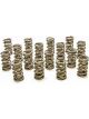 Pac Racing 1.304 Dual Valve Springs RPM Series Set of 16
