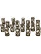 Pac Racing 1.245 Single Valve Springs RPM Series Set of 16