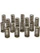 Pac Racing 1.061 Valve Springs Ovate Beehive Set of 16