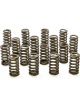 Pac Racing 1.445 Valve Springs Ovate Beehive Set of 16