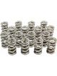 Pac Racing 1.274 Dual Valve Springs GM LS Set of 16