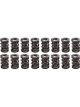 Pac Racing 1.570 Dual Valve Springs CT 1200 Series Set of 16
