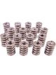 Pac Racing 1.545 Dual Valve Springs Set of 16