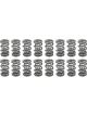 Pac Racing 1.681 Triple Valve Springs Set of 16