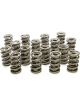 Pac Racing 1.564 Dual Valve Springs Set of 16
