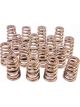 Pac Racing 1.454 Valve Springs Ovate Beehive Set of 16
