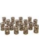 Pac Racing Valve Springs HR Series Set of 16