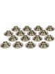 Pac Racing 1.480 TI Valve Spring Retainers 10 Deg +.050