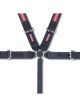 Pyrotect Harness 5pt Camlock PD 3in SFI