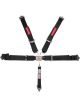 Pyrotect Harness 5pt L/L PD 3in L/W SFI