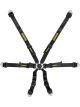 Schroth Racing 6pt Harness Flexi Black FIA Hans