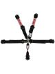 Simpson Harness 5pt LL Pull-Down 2in Lap & Shoulder