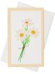 Boyle Quilled Framed Standing Greeting Card White Daisy 7.5x12.5cm