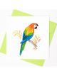 Boyle Quilled Greeting Card Parrot 15x15cm