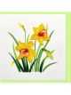 Boyle Quilled Greeting Card Daffodils 15x15cm