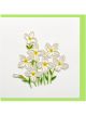 Boyle Quilled Greeting Card White Flowers 15x15cm