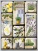 Nostalgic-Art 9pc Magnet Set Mediterranean 7x9.3x2cm