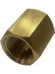 TFI Racing Brass Hex Socket 3/4