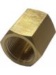 TFI Racing Brass Hex Socket 3/8