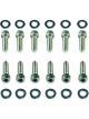 TFI Racing Valve Cover Bolts Ford 6 Crossflow Chrome Socket Head