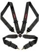 Raceworks Black 4Point Cam Lock Harness