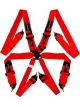 Raceworks Red 6Point Cam Lock Harness