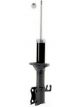 Roadsafe STR Sealed Strut