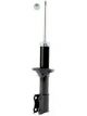 Roadsafe STR Sealed Strut