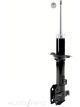 Roadsafe STR Sealed Strut