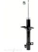 Roadsafe STR Sealed Strut