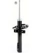 Roadsafe STR Sealed Strut