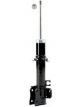 Roadsafe STR Sealed Strut