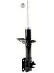 Roadsafe STR Sealed Strut