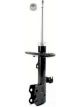 Roadsafe STR Sealed Strut