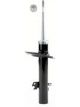 Roadsafe STR Sealed Strut