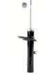 Roadsafe STR Sealed Strut