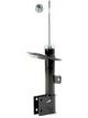 Roadsafe STR Sealed Strut