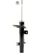 Roadsafe STR Sealed Strut