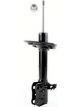 Roadsafe STR Sealed Strut