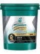 Petronas 18L 10W-30 Syntium 800 Sn Gf-5 Engine Oil Pail