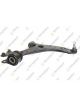 Teknorot Control Arm