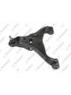 Teknorot Control Arm