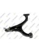 Teknorot Control Arm