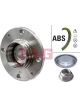 Schaeffler FAG Wheel Bearing Kit